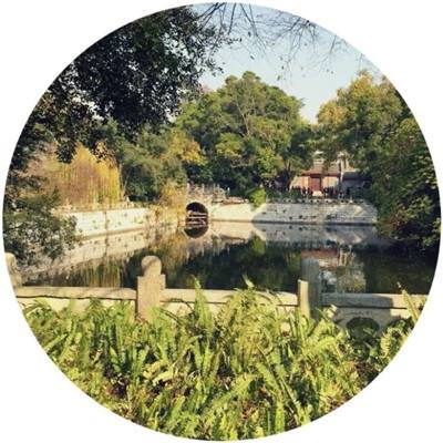 人民网评：不断开辟百年大党自我革命新境界